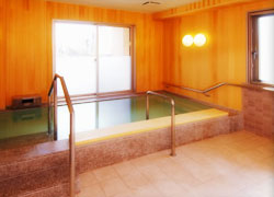 フェリエドゥ稲田堤の浴室
