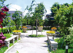 グレースメイト松戸のコミュニティ広場
