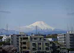 すこや家・志木柏町の富士山を眺望