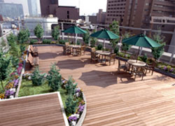 ネクサスコート本郷の屋上庭園