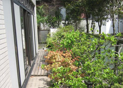 ベストライフ麻生Ⅱの食堂前の盆栽