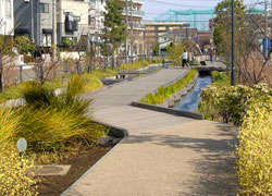 SOMPOケアラヴィーレ元住吉のせせらぎ遊歩道