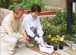 ARCO浜名湖クレセント21の家庭菜園(イメージ)