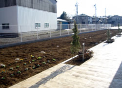 グッドタイムナーシングホーム・柏高柳の菜園