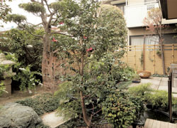 グループホームみなせのみなせI号館/II号館の様子③