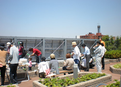 マストライフ古河庭園の屋上庭園