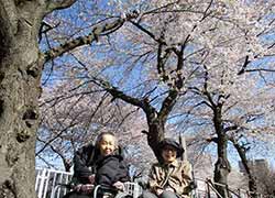 みんなの家・与野公園のホームの様子