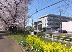 みんなの家・大宮つつじヶ丘公園のホームの様子